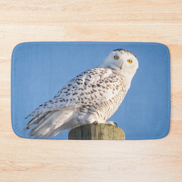 Item preview, Bright eyes and blue skies designed and sold by heffordj.