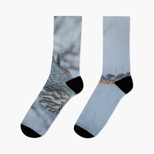 Item preview, Barred Owl in Flight designed and sold by heffordj.