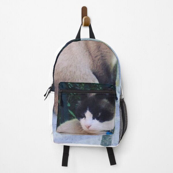 Item preview, Cat Saint Tropez, France 2021 #ilonabarnabiphotonews designed and sold by BIPHOTONEWS.
