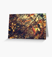 Happenings Greeting Card
