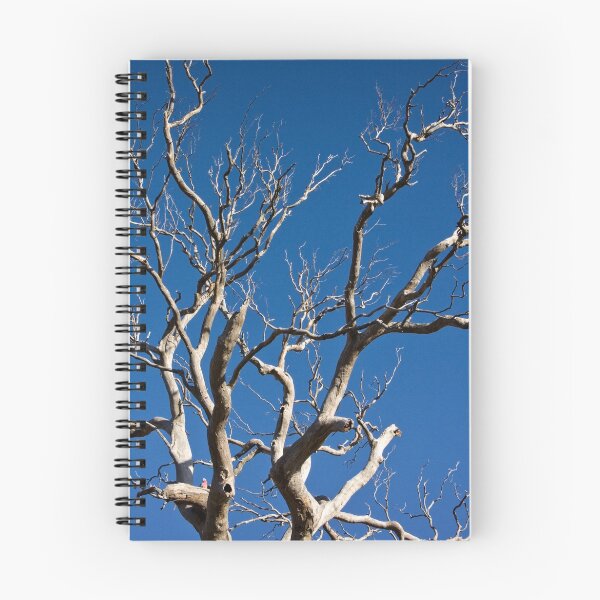 Item preview, Branches designed and sold by Wolf Sverak Photography.