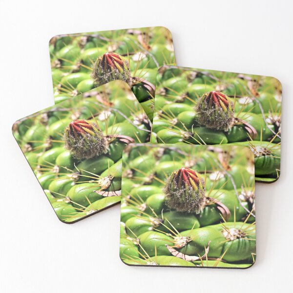 Item preview, A Cactus Bud designed and sold by Martha Sherman.