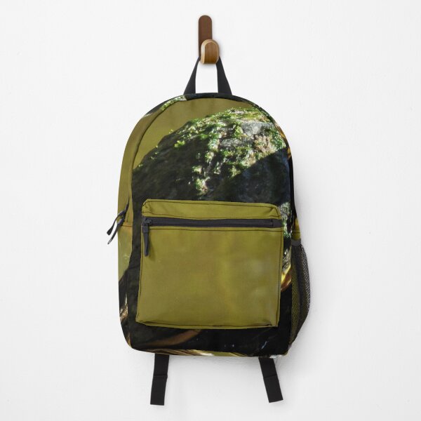 Item preview, Tiny Turtle Traversing the Twig designed and sold by toddbrooney.