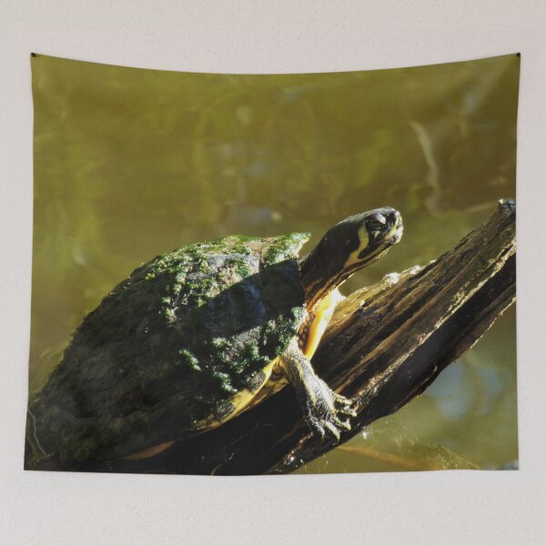 Item preview, Tiny Turtle Traversing the Twig designed and sold by toddbrooney.