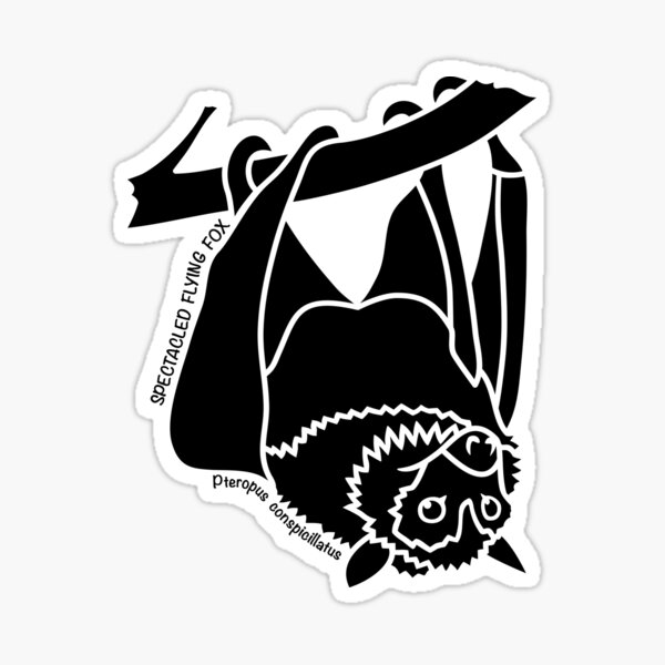 Spectacled Flying Fox. Iconic Australian Animal. Silhouette. Sticker