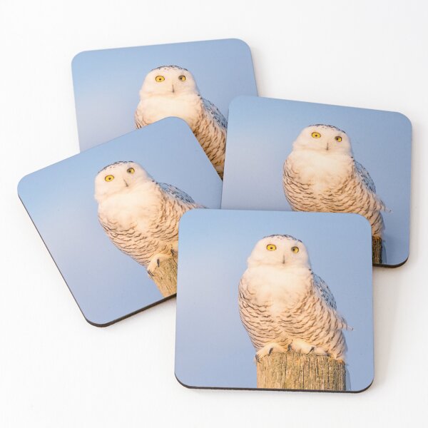Item preview, Snowy Owl Reflecting Afternoon Sun designed and sold by heffordj.