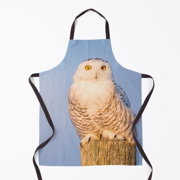 Item preview, Snowy Owl Reflecting Afternoon Sun designed and sold by heffordj.