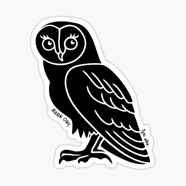 Barn Owl. Iconic Australian Animal. Silhouette with name. Sticker