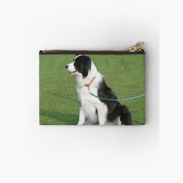 Item preview, Border Collie Waiting designed and sold by Jenny Brice.