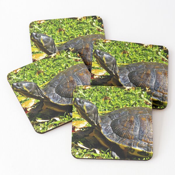 Item preview, Tiny Little Turtle Boy designed and sold by toddbrooney.