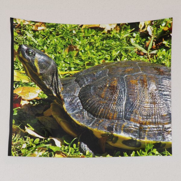 Item preview, Tiny Little Turtle Boy designed and sold by toddbrooney.