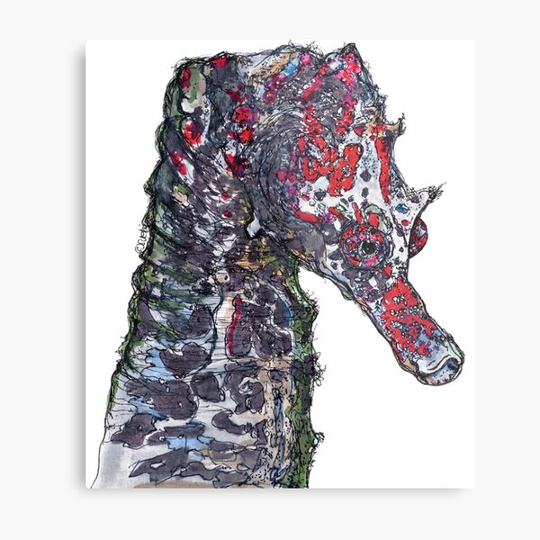 Lady Jayne Seahorse of Manly Nets Metal Print