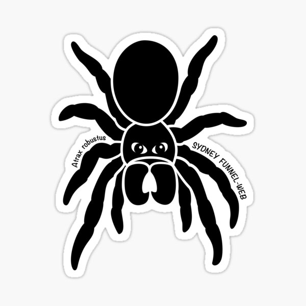 Funnel-web Spider. Iconic Australian Animal. Silhouette. Sticker