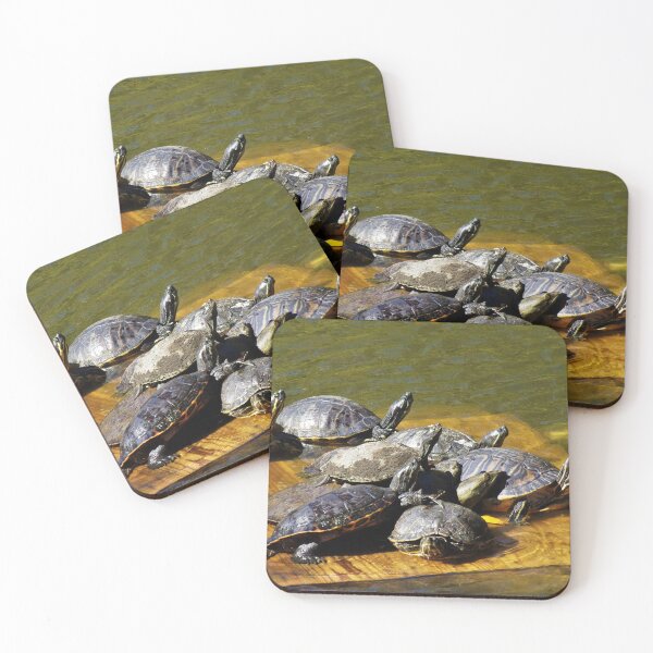 Item preview, Turtles Transfixed Toward The Truth designed and sold by toddbrooney.