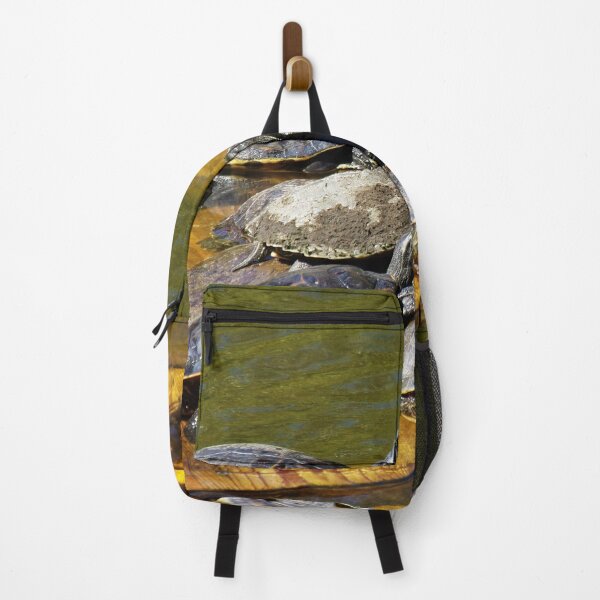 Item preview, Turtles Transfixed Toward The Truth designed and sold by toddbrooney.