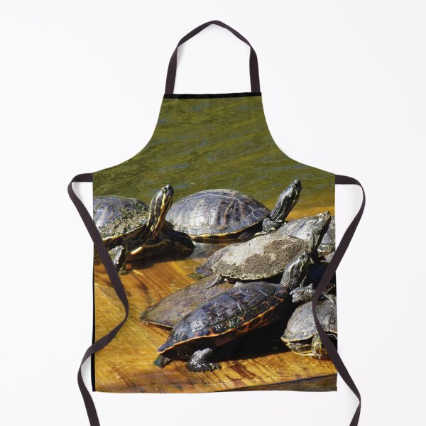 Item preview, Turtles Transfixed Toward The Truth designed and sold by toddbrooney.
