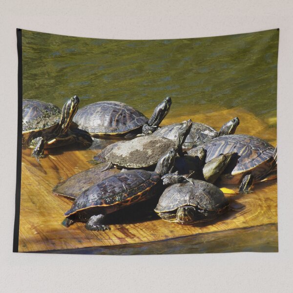 Item preview, Turtles Transfixed Toward The Truth designed and sold by toddbrooney.