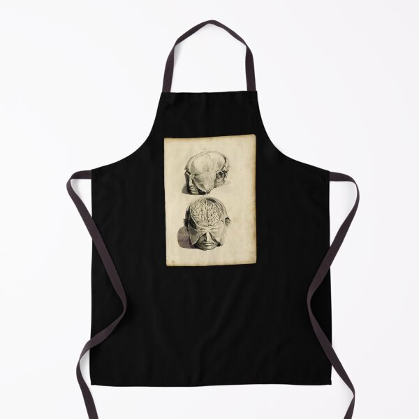 Item preview, 'Human Brain' from 'Anatomia Humani Corpis' designed and sold by DotorEaon.