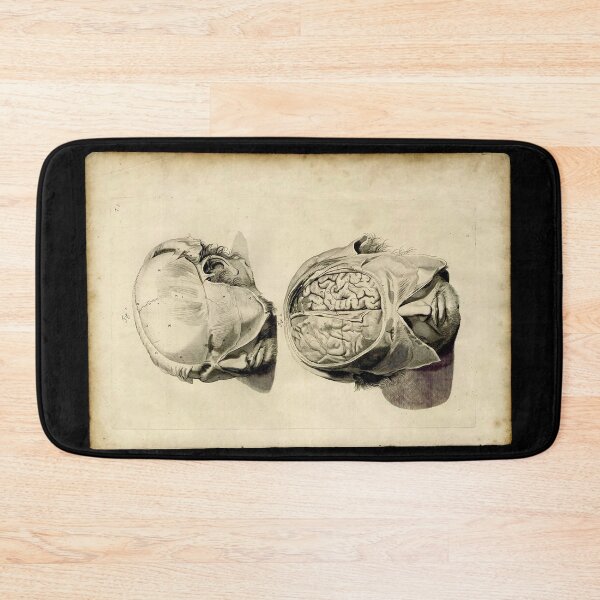 Item preview, 'Human Brain' from 'Anatomia Humani Corpis' designed and sold by DotorEaon.