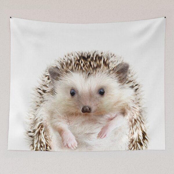 Item preview, Hedgehog Print by Zouzounio Art designed and sold by zouzounioart.