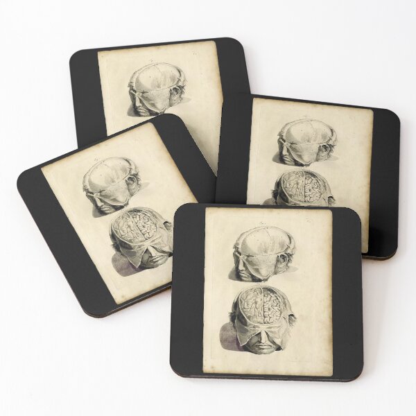 Item preview, 'Human Brain' from 'Anatomia Humani Corpis' designed and sold by DotorEaon.