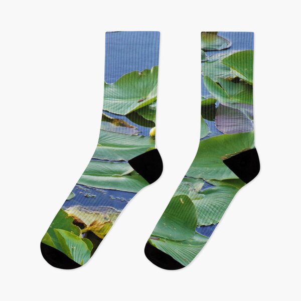 Item preview, Water Lily Pond designed and sold by toddbrooney.