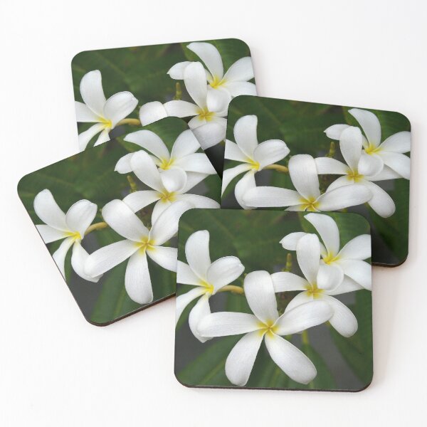 Item preview, White Frangipanis designed and sold by ppddesigns.