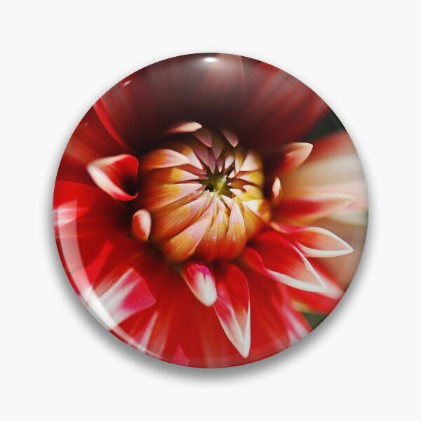 Item preview, Red White Dahlia Flower Eye Shy designed and sold by Joy Watson - Natural Light Photography .