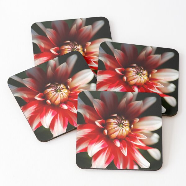 Item preview, Red White Dahlia Flower Eye Shy designed and sold by Joy Watson - Natural Light Photography .