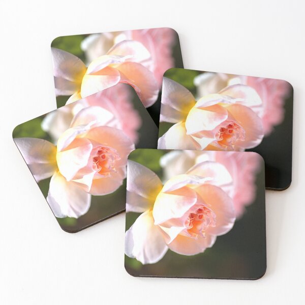 Item preview, Autumn Rose Abraham Darby Variety designed and sold by Joy Watson - Natural Light Photography .