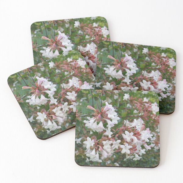 Item preview, Shrub with white flowers designed and sold by greentiger1.