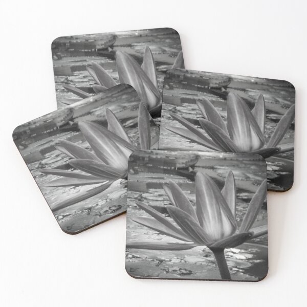 Item preview, Beautiful Big Lotus Flower- black and white designed and sold by NikitaAg.