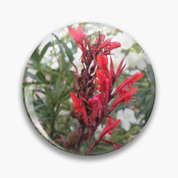 Item preview, Little red canna lily designed and sold by greentiger1.