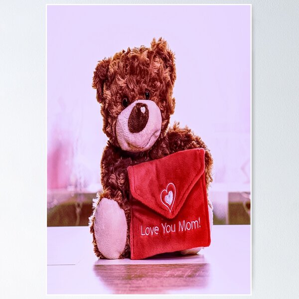 I love you mom best sale teddy bear