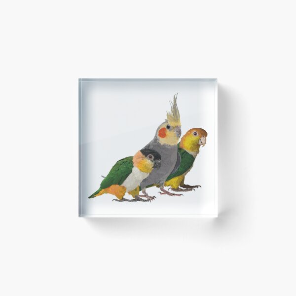 Item preview, Caique and nymph designed and sold by obscurite.