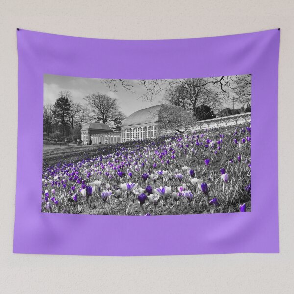 Item preview, Early Spring At Sheffield Botanical Gardens  designed and sold by Alisonchambers2.