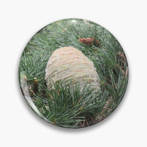 Item preview, Big pinecone designed and sold by greentiger1.