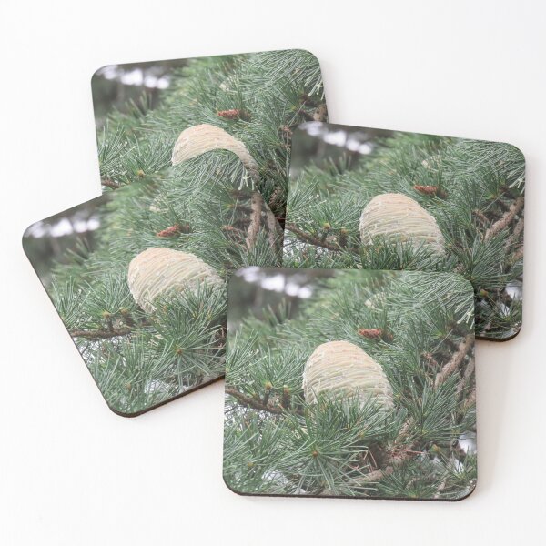 Item preview, Big pinecone designed and sold by greentiger1.