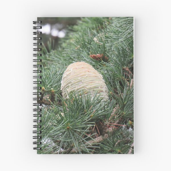 Item preview, Big pinecone designed and sold by greentiger1.