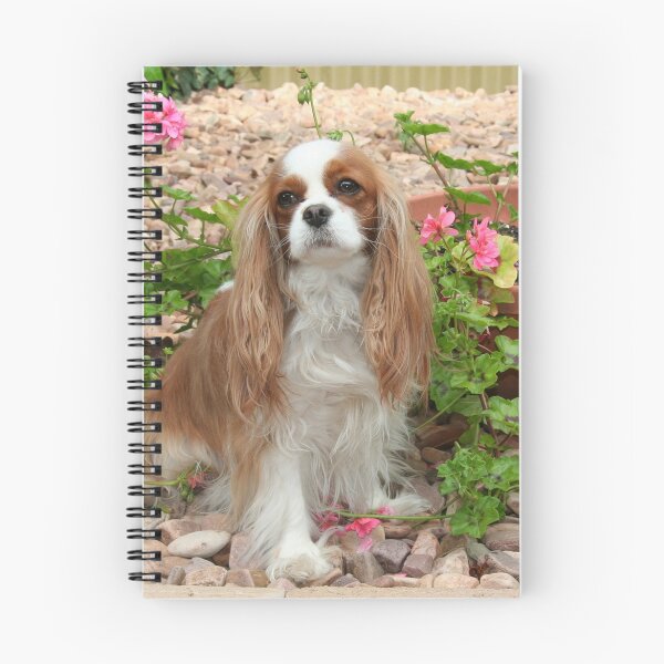 Item preview, Mischa  designed and sold by Jenny Brice.
