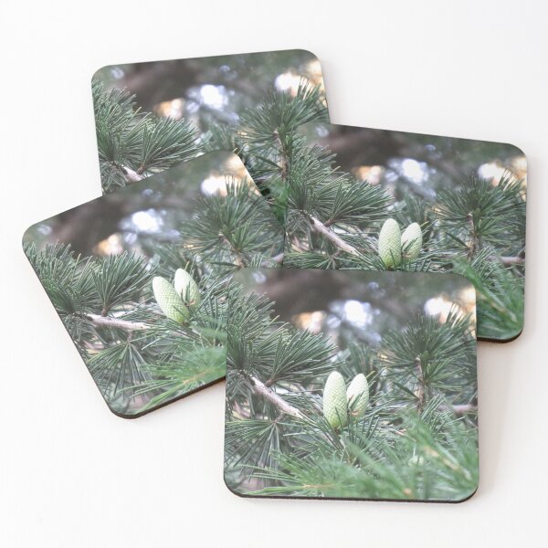 Item preview, two little pinecones designed and sold by greentiger1.