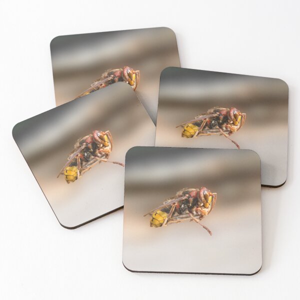 Item preview, hornet designed and sold by Ingo Gerlach.