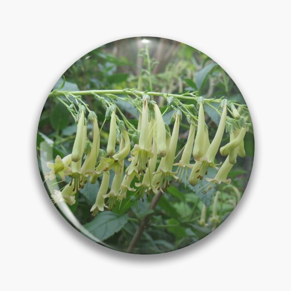 Item preview, Weird yellowish flowers designed and sold by greentiger1.