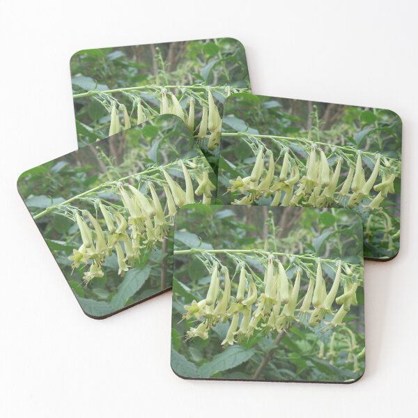 Item preview, Weird yellowish flowers designed and sold by greentiger1.