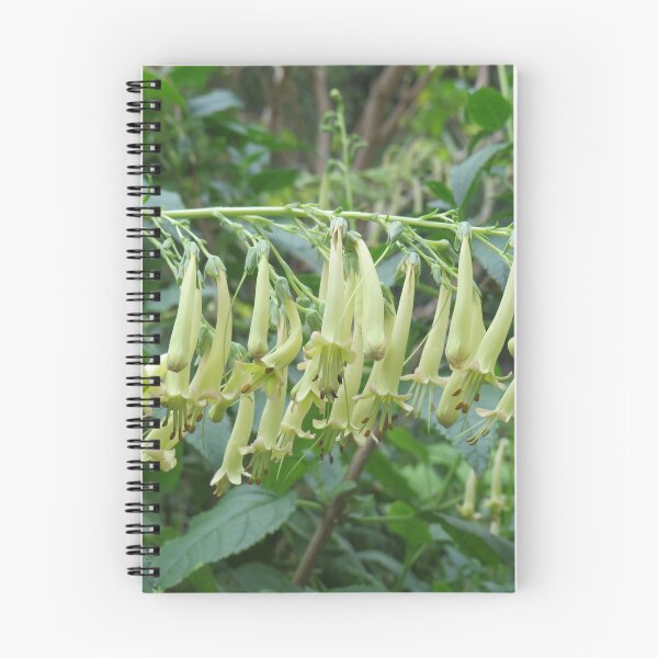 Item preview, Weird yellowish flowers designed and sold by greentiger1.