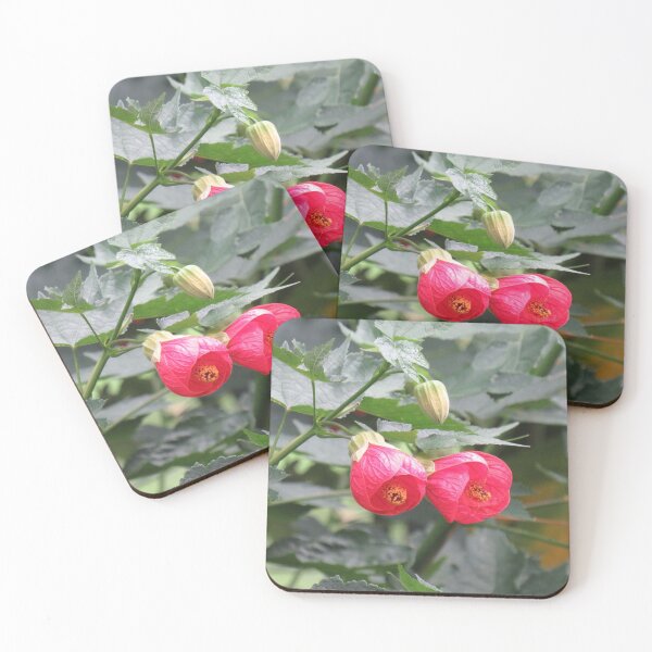 Item preview, Two abutilon flowers designed and sold by greentiger1.