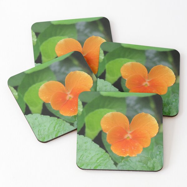 Item preview, Apricot pansy designed and sold by greentiger1.