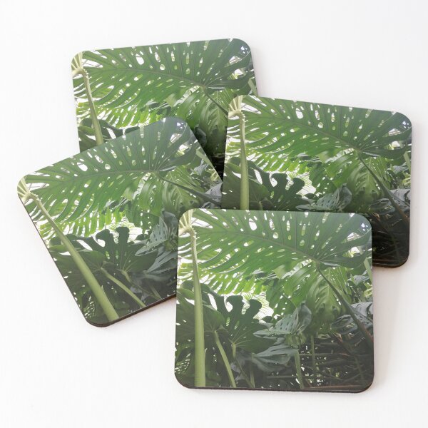Item preview, Huge tropical plant - Monstera Deliciosa designed and sold by Apleaves.