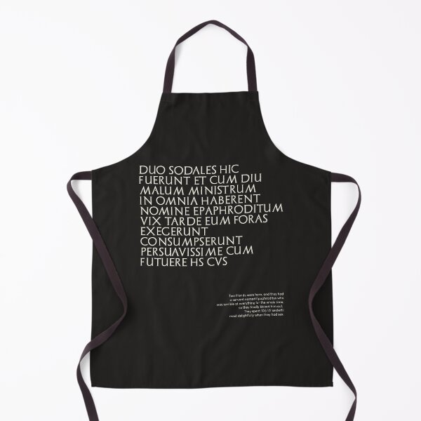 Item preview, Graffiti of Pompeii - DUO SODALES HIC FUERUNT... designed and sold by MetaPhyStore.