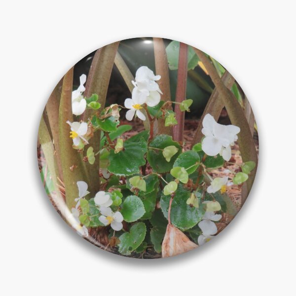 Item preview, White begonia bush designed and sold by greentiger1.